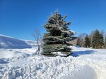 10022025_Samsung Galaxy Note20 Ultra_29th round to Hokkaido_Tokachi Shirakaba Namiki00010