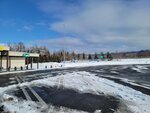10022025_Samsung Galaxy Note20 Ultra_29th round to Hokkaido_Tokachi Shirakaba Namiki00013