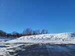 10022025_Samsung Galaxy Note20 Ultra_29th round to Hokkaido_Tokachi Shirakaba Namiki00016