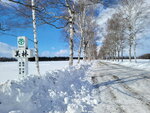 10022025_Samsung Galaxy Note20 Ultra_29th round to Hokkaido_Tokachi Shirakaba Namiki00022
