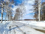 10022025_Samsung Galaxy Note20 Ultra_29th round to Hokkaido_Tokachi Shirakaba Namiki00023
