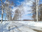 10022025_Samsung Galaxy Note20 Ultra_29th round to Hokkaido_Tokachi Shirakaba Namiki00024
