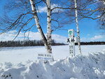 10022025_Samsung Galaxy Note20 Ultra_29th round to Hokkaido_Tokachi Shirakaba Namiki00025