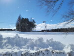 10022025_Samsung Galaxy Note20 Ultra_29th round to Hokkaido_Tokachi Shirakaba Namiki00026