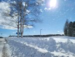 10022025_Samsung Galaxy Note20 Ultra_29th round to Hokkaido_Tokachi Shirakaba Namiki00028