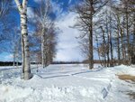 10022025_Samsung Galaxy Note20 Ultra_29th round to Hokkaido_Tokachi Shirakaba Namiki00032