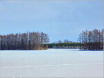 10022025_Samsung Galaxy Note20 Ultra_29th round to Hokkaido_Tokachi Shirakaba Namiki00034