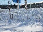 10022025_Samsung Galaxy Note20 Ultra_29th round to Hokkaido_Tokachi Shirakaba Namiki00036