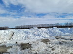 10022025_Samsung Galaxy Note20 Ultra_29th round to Hokkaido_Tokachi Shirakaba Namiki00037