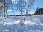 10022025_Samsung Galaxy Note20 Ultra_29th round to Hokkaido_Tokachi Shirakaba Namiki00039