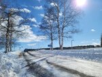 10022025_Samsung Galaxy Note20 Ultra_29th round to Hokkaido_Tokachi Shirakaba Namiki00040