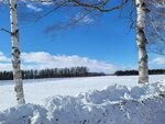 10022025_Samsung Galaxy Note20 Ultra_29th round to Hokkaido_Tokachi Shirakaba Namiki00041