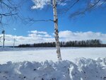 10022025_Samsung Galaxy Note20 Ultra_29th round to Hokkaido_Tokachi Shirakaba Namiki00042