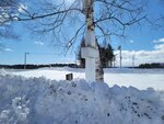 10022025_Samsung Galaxy Note20 Ultra_29th round to Hokkaido_Tokachi Shirakaba Namiki00043
