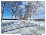 10022025_Samsung Galaxy Note20 Ultra_29th round to Hokkaido_Tokachi Shirakaba Namiki00044