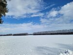 10022025_Samsung Galaxy Note20 Ultra_29th round to Hokkaido_Tokachi Shirakaba Namiki00045