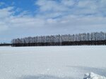 10022025_Samsung Galaxy Note20 Ultra_29th round to Hokkaido_Tokachi Shirakaba Namiki00046