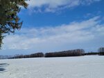 10022025_Samsung Galaxy Note20 Ultra_29th round to Hokkaido_Tokachi Shirakaba Namiki00047