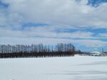 10022025_Samsung Galaxy Note20 Ultra_29th round to Hokkaido_Tokachi Shirakaba Namiki00048