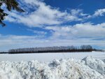 10022025_Samsung Galaxy Note20 Ultra_29th round to Hokkaido_Tokachi Shirakaba Namiki00050