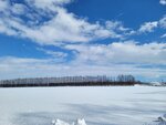 10022025_Samsung Galaxy Note20 Ultra_29th round to Hokkaido_Tokachi Shirakaba Namiki00051
