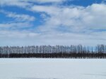 10022025_Samsung Galaxy Note20 Ultra_29th round to Hokkaido_Tokachi Shirakaba Namiki00052