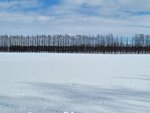 10022025_Samsung Galaxy Note20 Ultra_29th round to Hokkaido_Tokachi Shirakaba Namiki00053