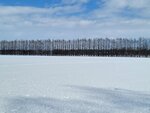 10022025_Samsung Galaxy Note20 Ultra_29th round to Hokkaido_Tokachi Shirakaba Namiki00054
