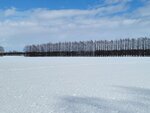 10022025_Samsung Galaxy Note20 Ultra_29th round to Hokkaido_Tokachi Shirakaba Namiki00055
