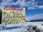 10022025_Samsung Galaxy Note20 Ultra_29th round to Hokkaido_Tokachi Shirakaba Namiki00056