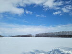 10022025_Samsung Galaxy Note20 Ultra_29th round to Hokkaido_Tokachi Shirakaba Namiki00059