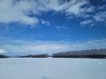 10022025_Samsung Galaxy Note20 Ultra_29th round to Hokkaido_Tokachi Shirakaba Namiki00060