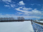 10022025_Samsung Galaxy Note20 Ultra_29th round to Hokkaido_Tokachi Shirakaba Namiki00061