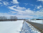 10022025_Samsung Galaxy Note20 Ultra_29th round to Hokkaido_Tokachi Shirakaba Namiki00062