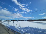 10022025_Samsung Galaxy Note20 Ultra_29th round to Hokkaido_Tokachi Shirakaba Namiki00063