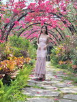 26042025_Samsung Galaxy Note 20 Ultra_Ma Wan Park_Vicky Tang00008