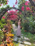 26042025_Samsung Galaxy Note 20 Ultra_Ma Wan Park_Vicky Tang00022