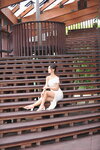 20082023_Nikon D700_West Kowloon Cultural District_Wendy Liu00043