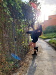 14122025_Samsung Galaxy Note 20 Ultra_Ma Wan_Ma Wan Old Village_Wendy Liu00018