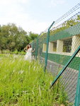 21042018_Samsung Smartphone Galaxy S7 Edge_Sunny Bay_Zooey Li00028