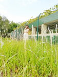 21042018_Samsung Smartphone Galaxy S7 Edge_Sunny Bay_Zooey Li00030