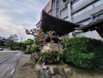 28042025_Samsung Galaxy Note 20 Ultra_Tour to Tateyama_Gifuken_Gifushi Morning00030