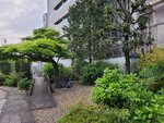 28042025_Samsung Galaxy Note 20 Ultra_Tour to Tateyama_Gifuken_Gifushi Morning00033