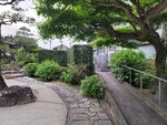 28042025_Samsung Galaxy Note 20 Ultra_Tour to Tateyama_Gifuken_Gifushi Morning00034