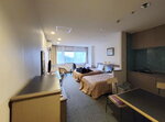 28042025_Samsung Galaxy Note 20 Ultra_Tour to Tateyama_Naganoken_Azuminoshi_Ambient Hotel00001