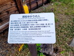 28042025_Samsung Galaxy Note 20 Ultra_Tour to Tateyama_Naganoken_Daiowasabi no Ujo00039