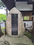 28042025_Samsung Galaxy Note 20 Ultra_Tour to Tateyama_Naganoken_Daiowasabi no Ujo00043