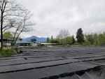 28042025_Samsung Galaxy Note 20 Ultra_Tour to Tateyama_Naganoken_Daiowasabi no Ujo00047