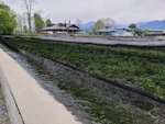 28042025_Samsung Galaxy Note 20 Ultra_Tour to Tateyama_Naganoken_Daiowasabi no Ujo00055