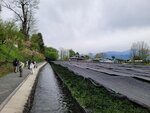 28042025_Samsung Galaxy Note 20 Ultra_Tour to Tateyama_Naganoken_Daiowasabi no Ujo00059
